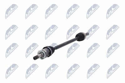 PLANETARA NTY NPWCH094 37