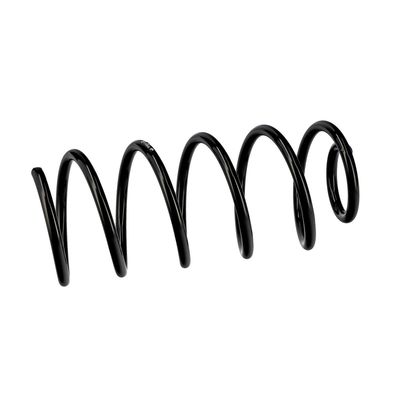 ARC SPIRAL EIBACH R10846 6