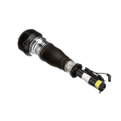 LUFTFEDERBEIN Arnott AS2540 43