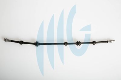 Тормозной шланг RICAMBIFLEX GM 02010031 для ALFA ROMEO 166