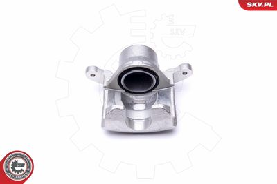 Brake Caliper 46SKV881