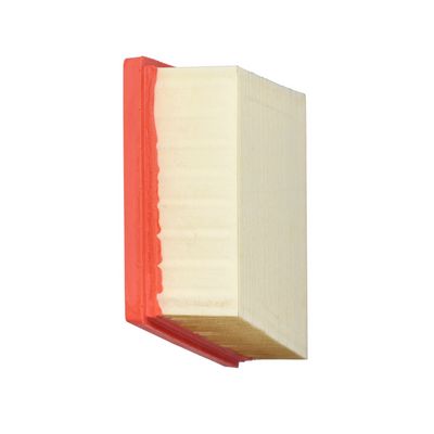 LUFTFILTER DR!VE+ DP1110100110 11