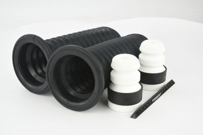 CHIT PROTECTIE PRAF AMORTIZOR FEBEST RNSHBKAPTFKIT 44