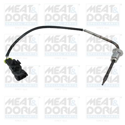 Sensor, avgastemperatur MEAT & DORIA 12102E