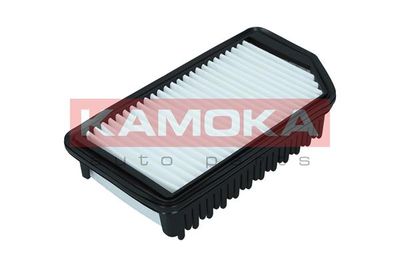 Air Filter F246901