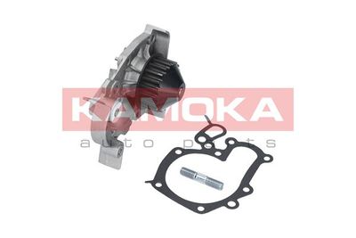 Water Pump, engine cooling T0241