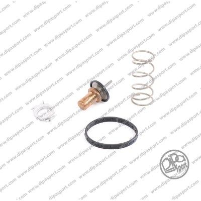 DIPASPORT TRM139N Термостат для SMART (Смарт)