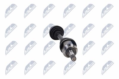 PLANETARA NTY NPWFT021 33