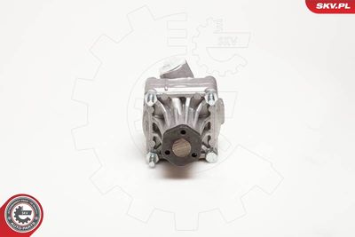 Hydraulic Pump, steering 10SKV087