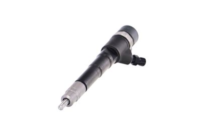 INJECTOR REMANTE 002003000031R 60