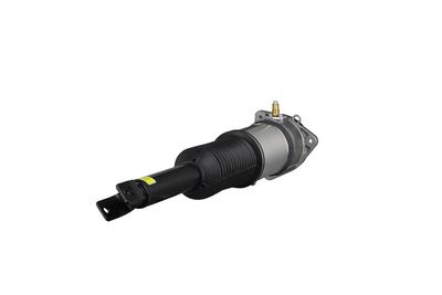 LUFTFEDERBEIN Arnott AS2958 36