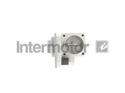 Throttle Body Intermotor 68234