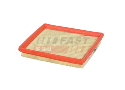 FAST Oro filtras