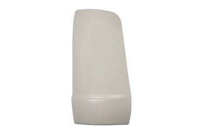 Vindavvisare PACOL MAN-CP-019R för MAN