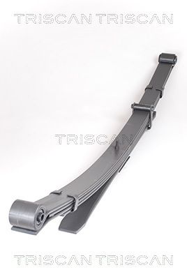 TRISCAN Federnpaket