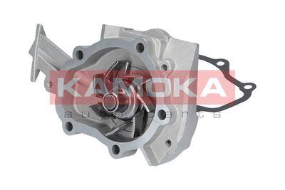 Water Pump, engine cooling T0065