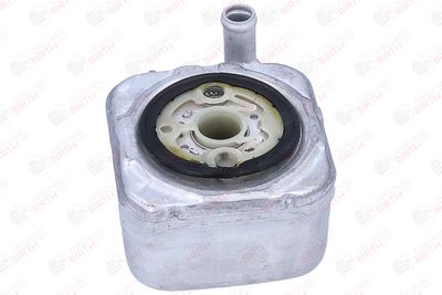 RADIATOR ULEI ULEI MOTOR BIRTH 80827 8