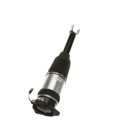 LUFTFEDERBEIN Arnott AS2968 71