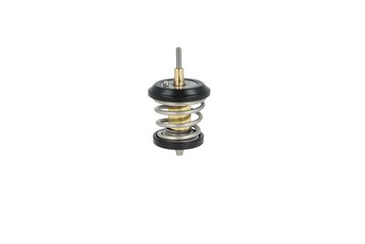 TERMOSTAT LICHID RACIRE NRF 725250 8