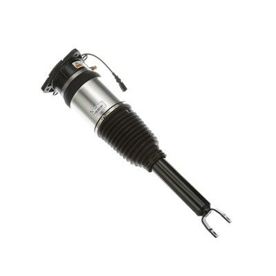 LUFTFEDERBEIN Arnott AS2968 55