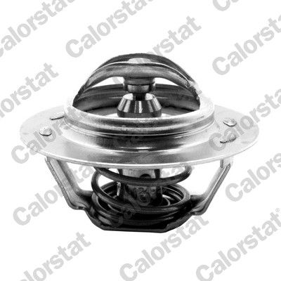 CALORSTAT by Vernet Thermostat, Kühlmittel