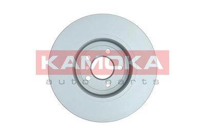 Brake Disc 103307