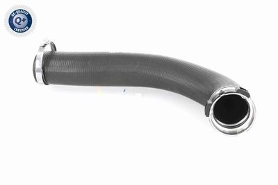 LADELUFTSCHLAUCH VAICO V460847 2