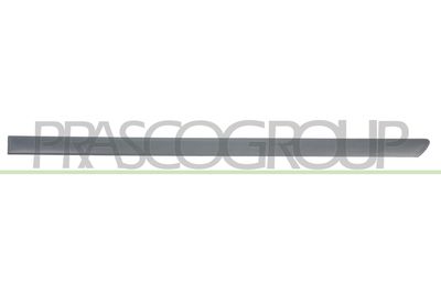 ELEMENTE DECORATIVE/PROTECTIE PORTIERA