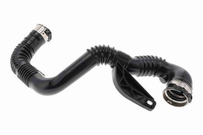 FURTUN EAR SUPRAALIMENTARE ACKOJA A380687 3