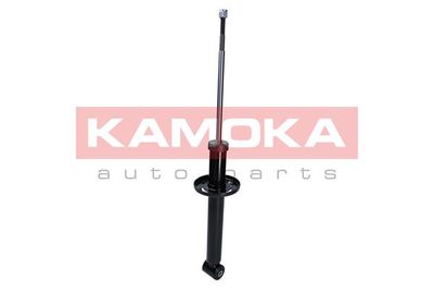 Shock Absorber 2000987