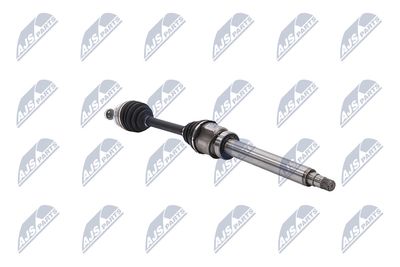 PLANETARA NTY NPWBM173 29