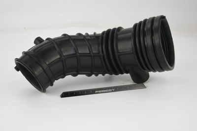 FURTUN ALIMENTARE AER FEBEST 03450001 50