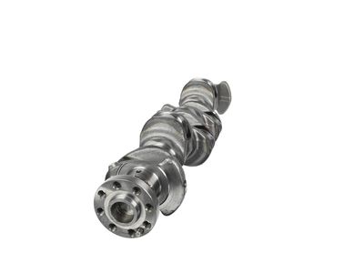 ARBORE COTIT ET ENGINETEAM HK0211 13