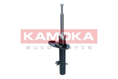 Shock Absorber 2001281