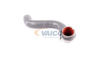 FURTUN EAR SUPRAALIMENTARE VAICO V460823 18