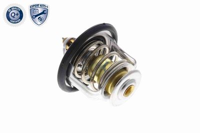 TERMOSTAT LICHID RACIRE ACKOJA A38990006 7