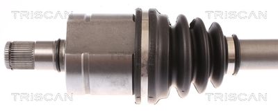 PLANETARA TRISCAN 8540295015 1