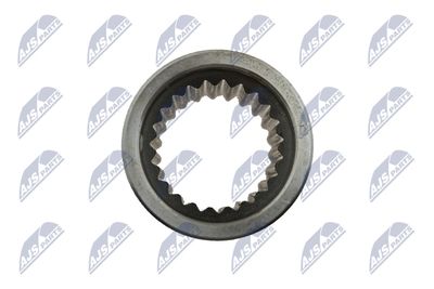 ARBORE DIFERENTIAL NTY NWPRE001 3