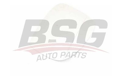 BSG BSG 90-910-024 Наружное зеркало  для VW TOUAREG (7LA, 7L6, 7L7) 3.6 V6 FSI