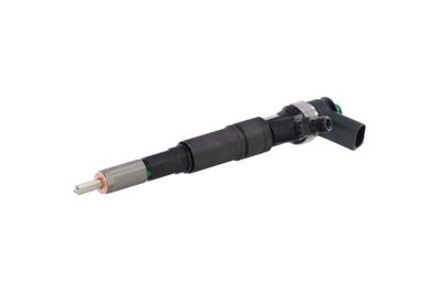 INJECTOR REMANTE 002003001184R 7