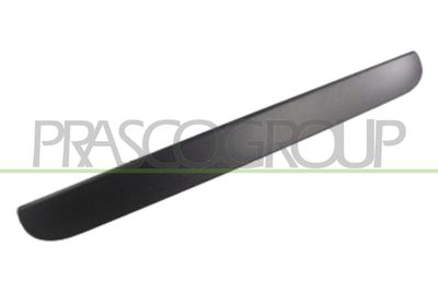 Дръжка външна врата PRASCO DG0058341
