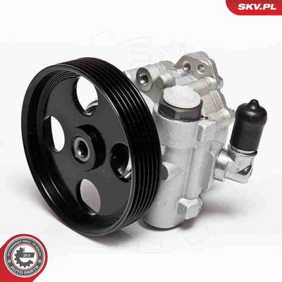 POMPA HIDRAULICA SISTEM DE DIRECTIE ESEN SKV 10SKV004