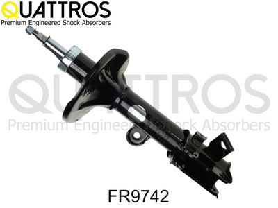 AMORTIZOR DAVID VASCO FR9742