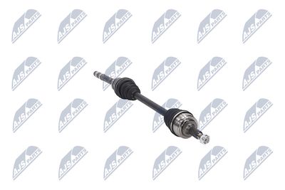 PLANETARA NTY NPWCT073 13