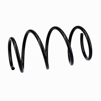 ARC SPIRAL EIBACH R10546 6