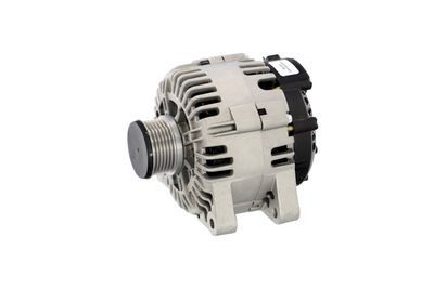 GENERATOR / ALTERNATOR REMANTE 011003000142R 10