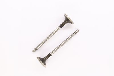 AUSLASSVENTIL CORTECO 551652B 1