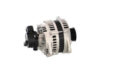 GENERATOR / ALTERNATOR REMANTE 011003000003R 39