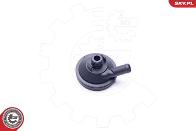 Separator oleju, odpowietrzenie przestrzeni korbowej ESEN SKV 31SKV097