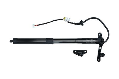 Galinių durų elektros variklis